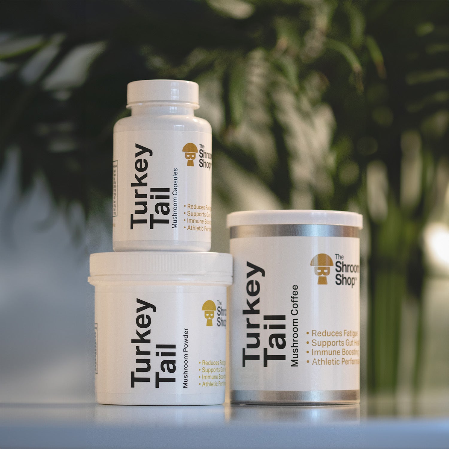 The Shroom Shop Turkey Tail Mushroom