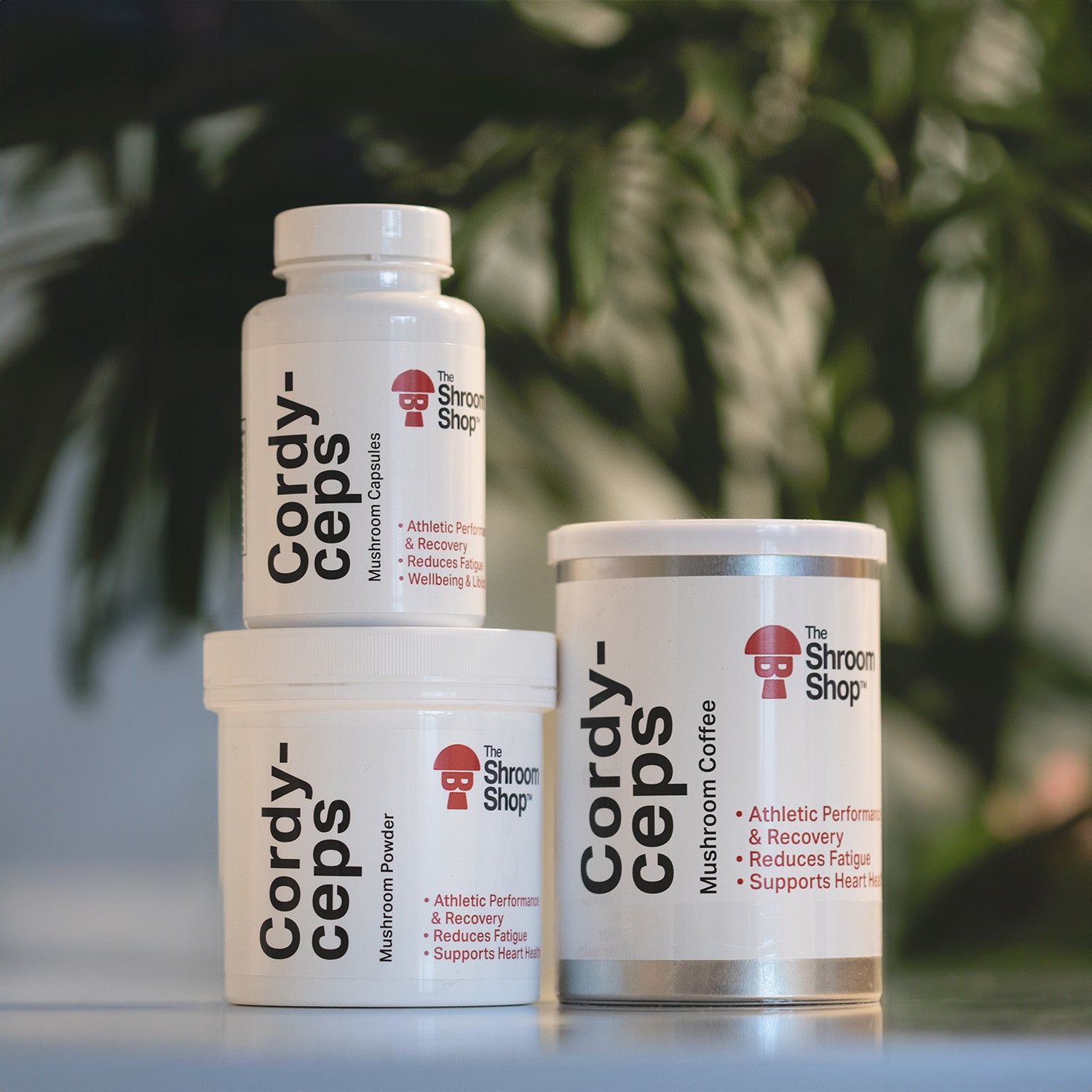 The Shroom Shop Cordyceps Mushroom