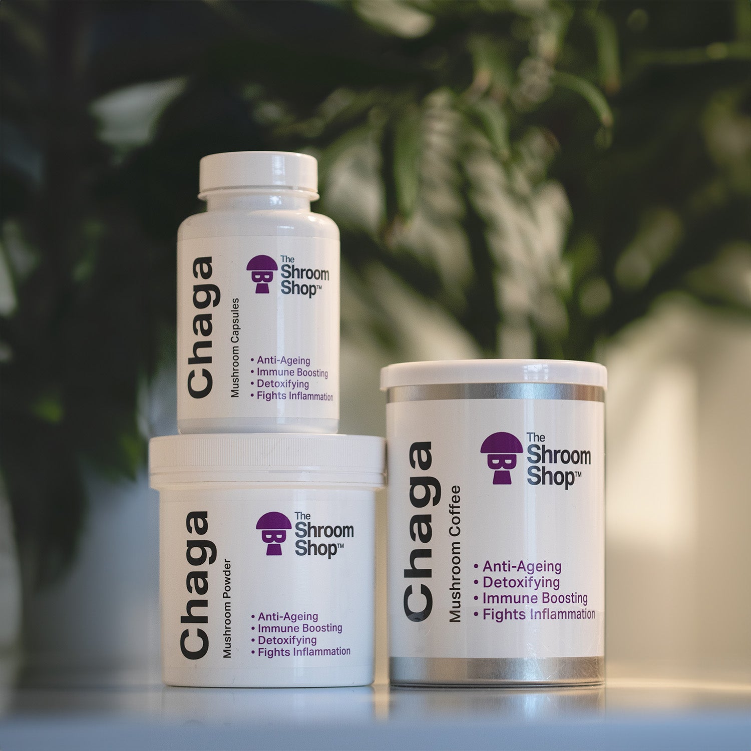 The Shroom Shop Chaga Mushroom