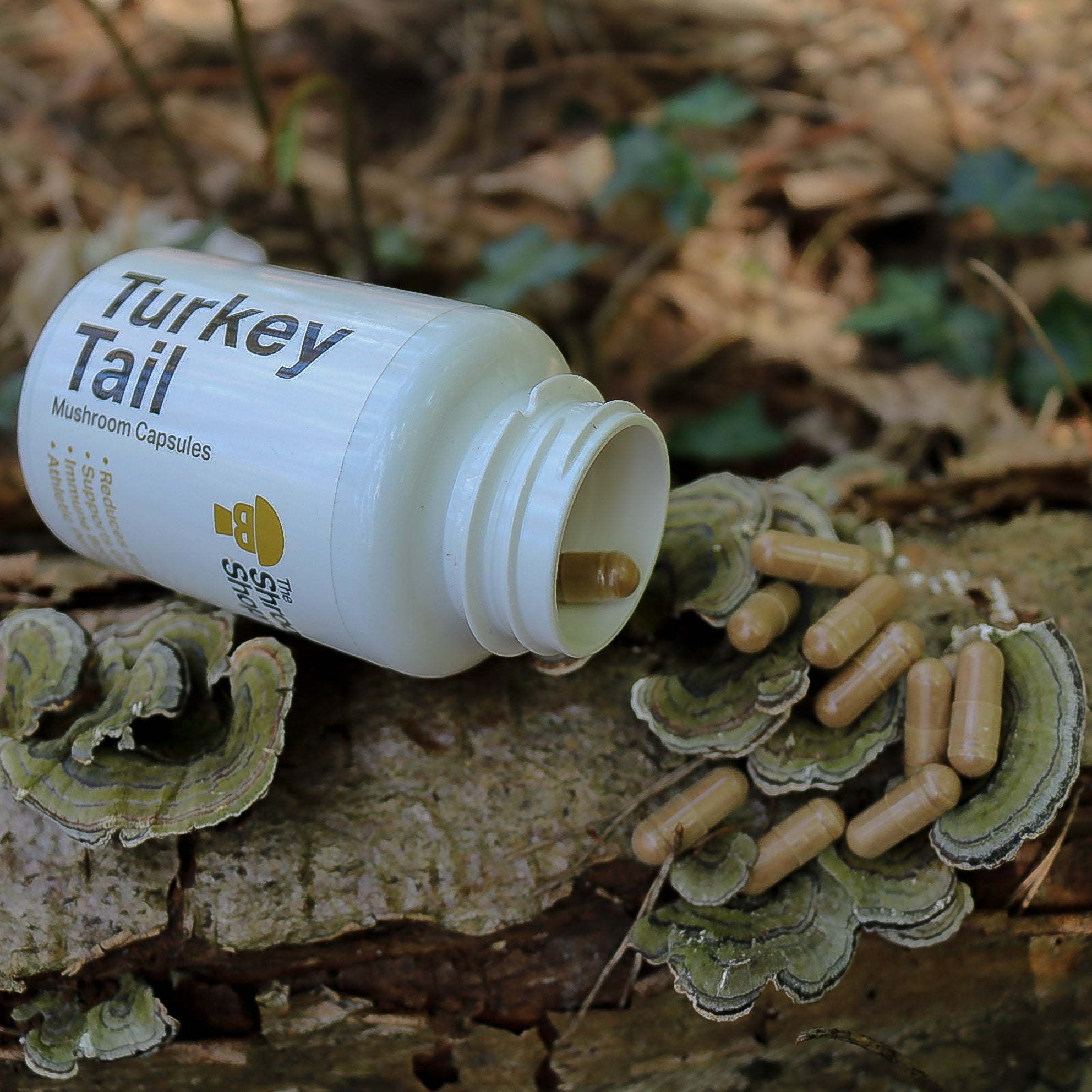 Turkey Tail Mushroom Capsules