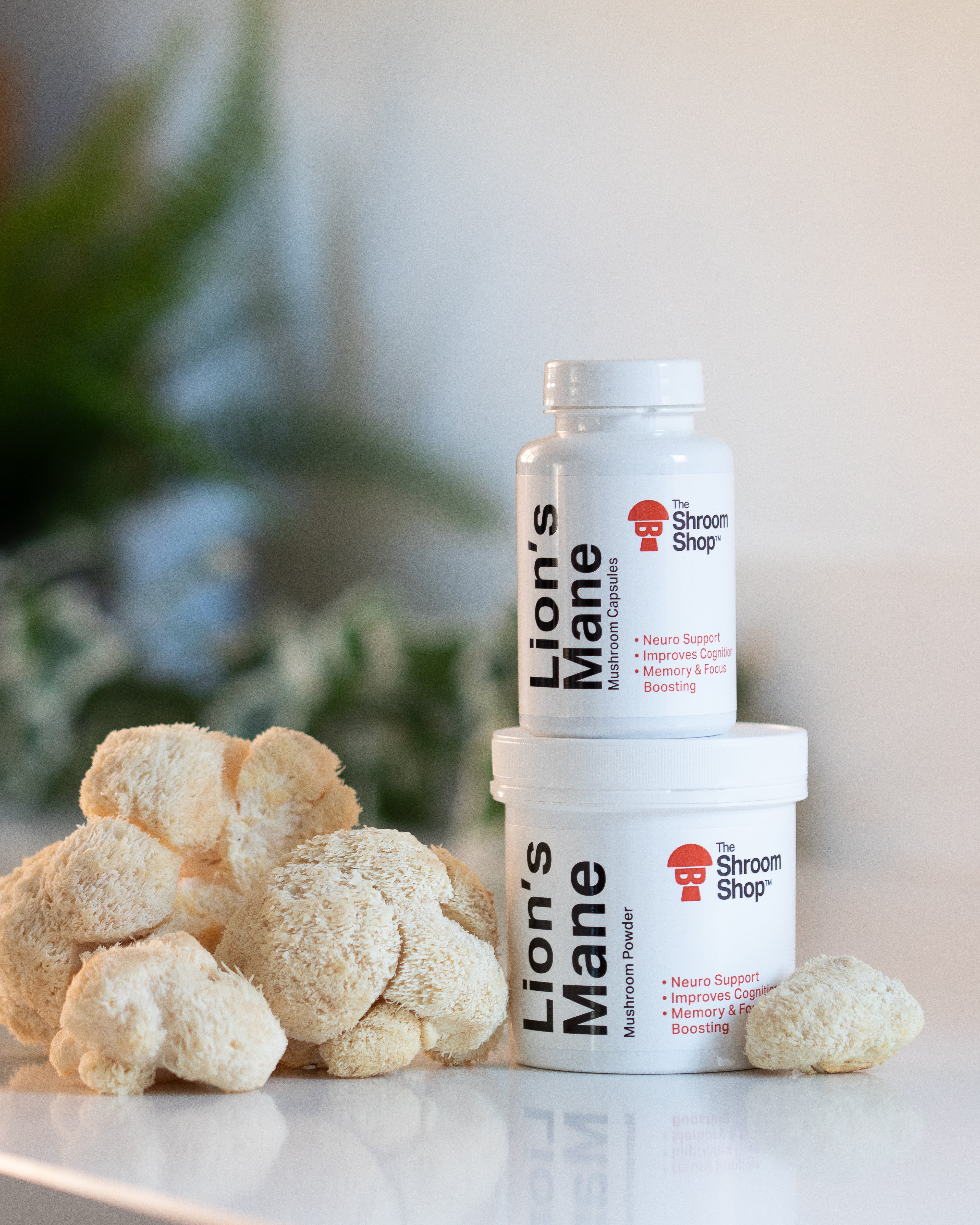 Lion's Mane Supplements