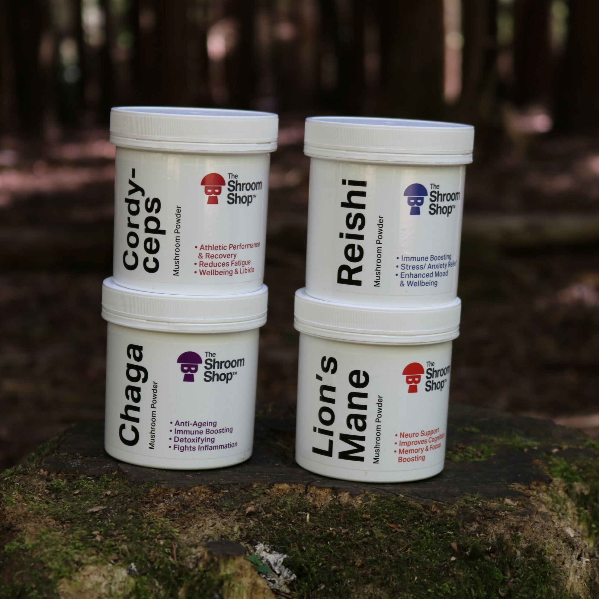 Ultimate Wellness Bundle - Powder