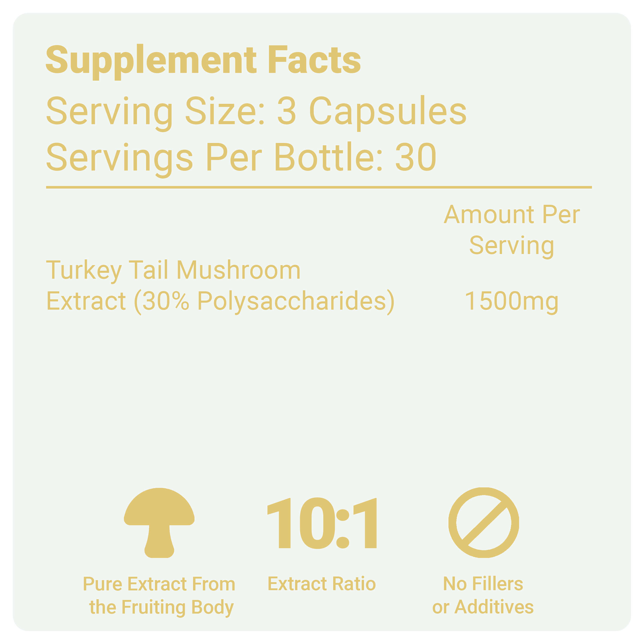 Turkey Tail Mushroom Capsules