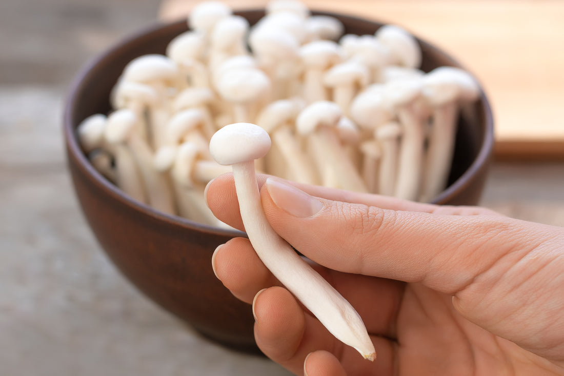 Exploring the Health Wonders of Enoki Mushrooms