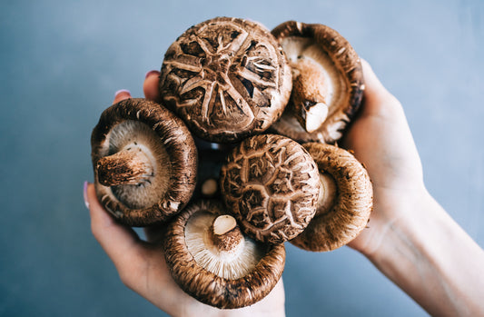 The Power of Shiitake Mushroom: Exploring Its Impressive Health Benefits