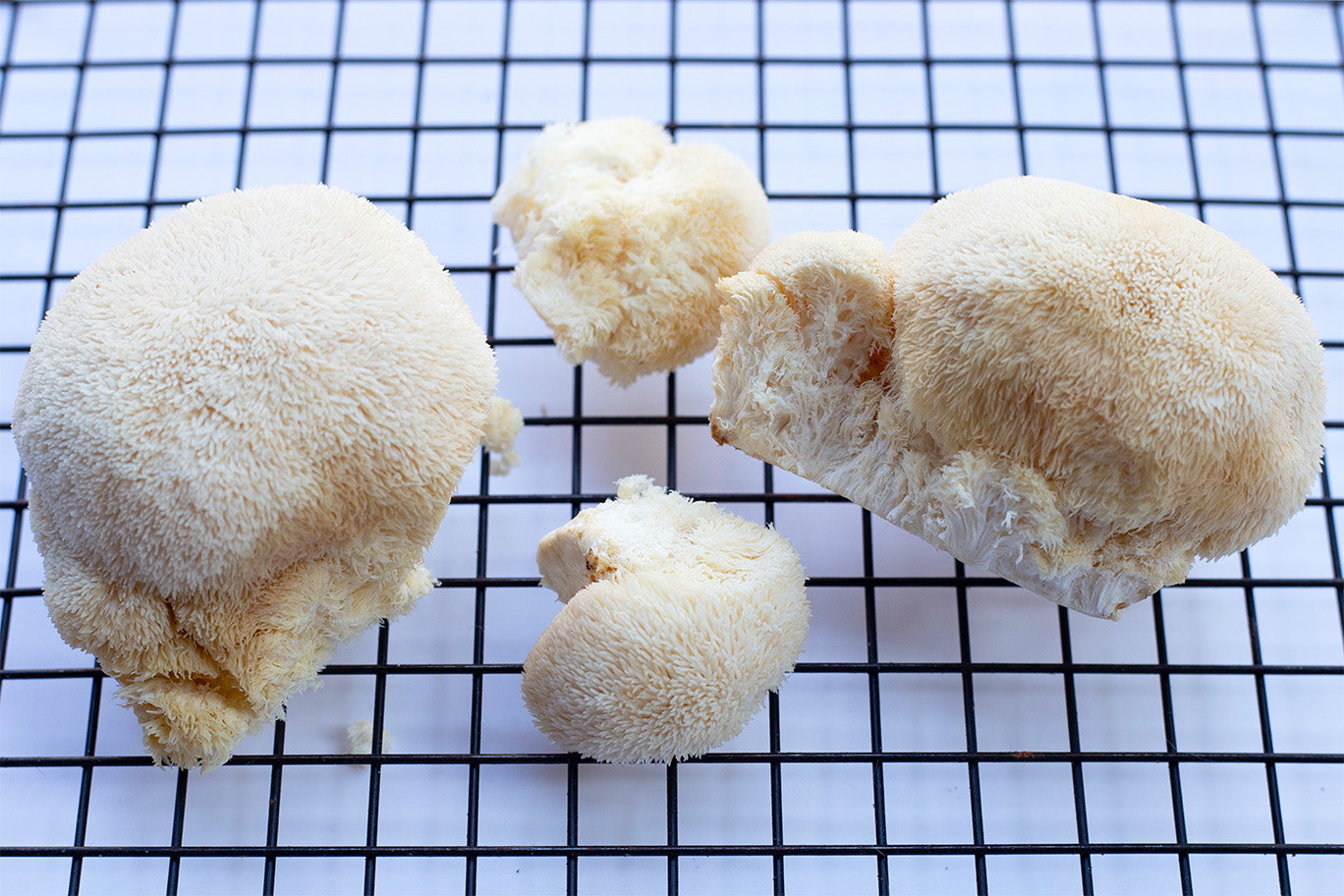 How Lion's Mane Mushroom Can Help Manage ADHD