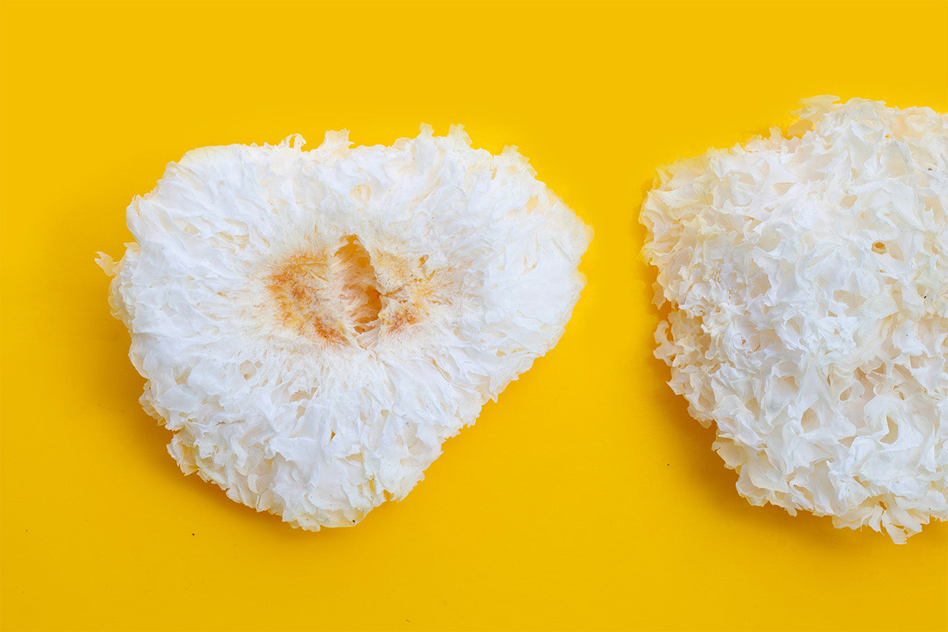 Tremella Mushroom - The Fountain of Youth