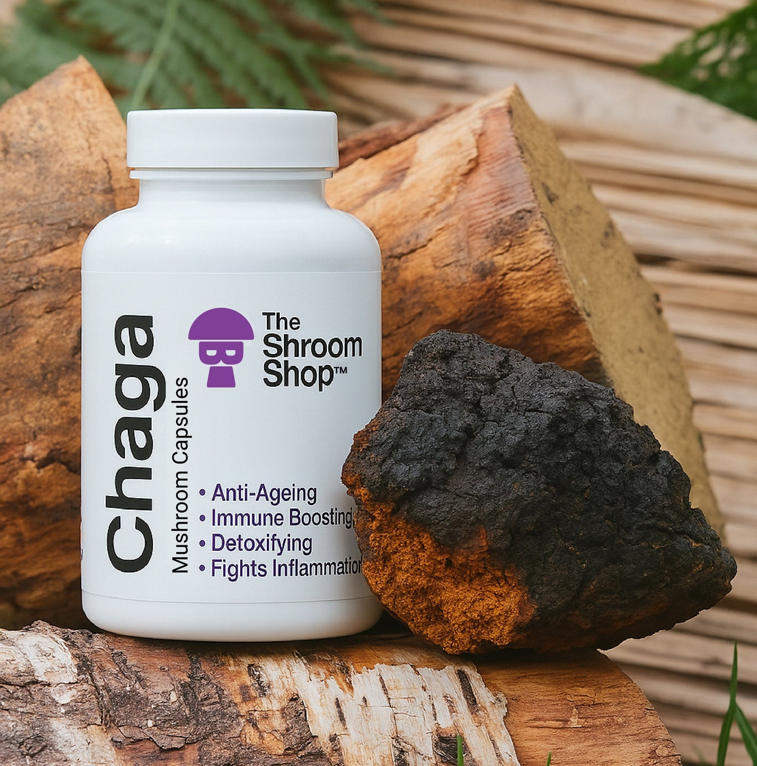 Chaga Supplements