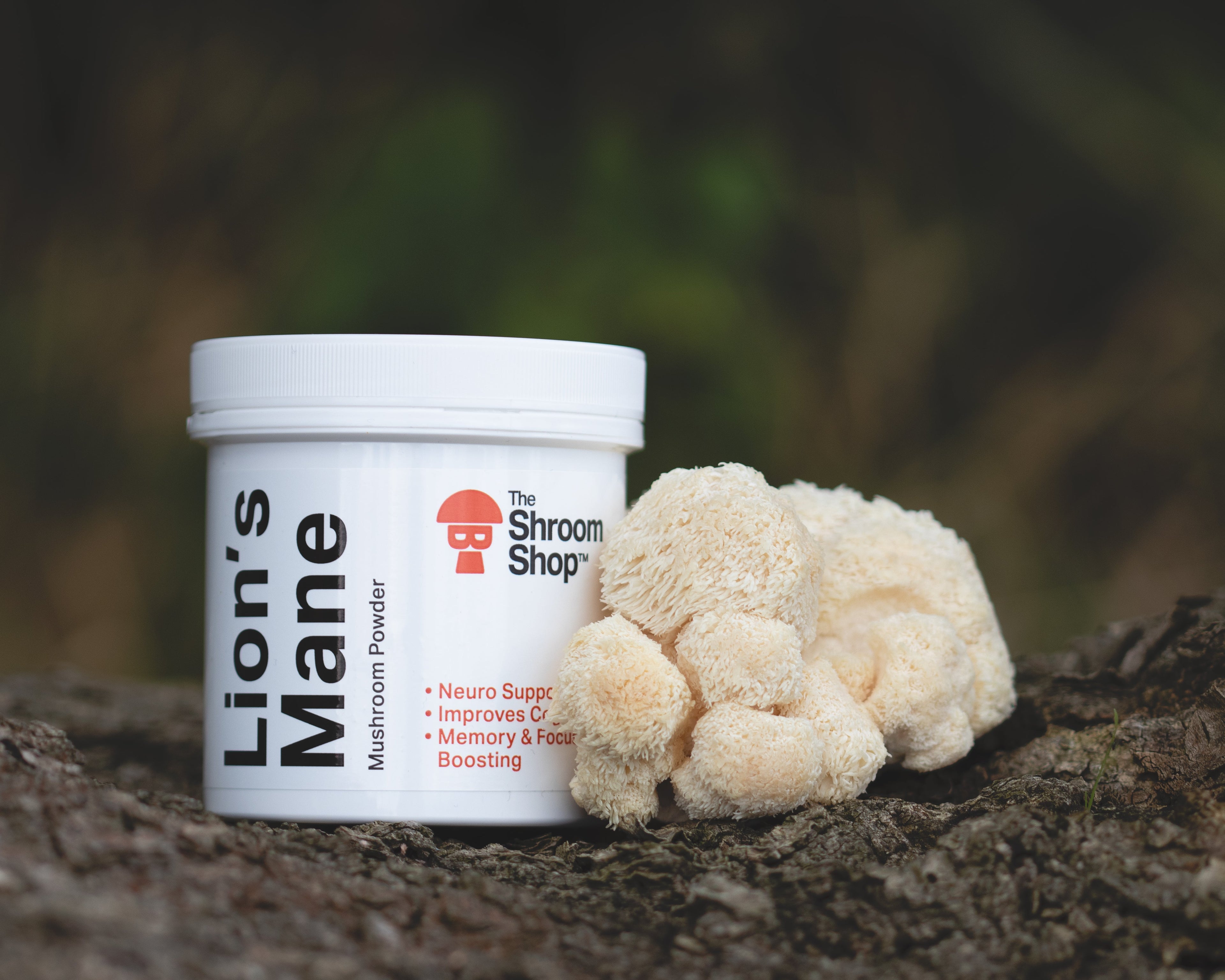 Lion's Mane