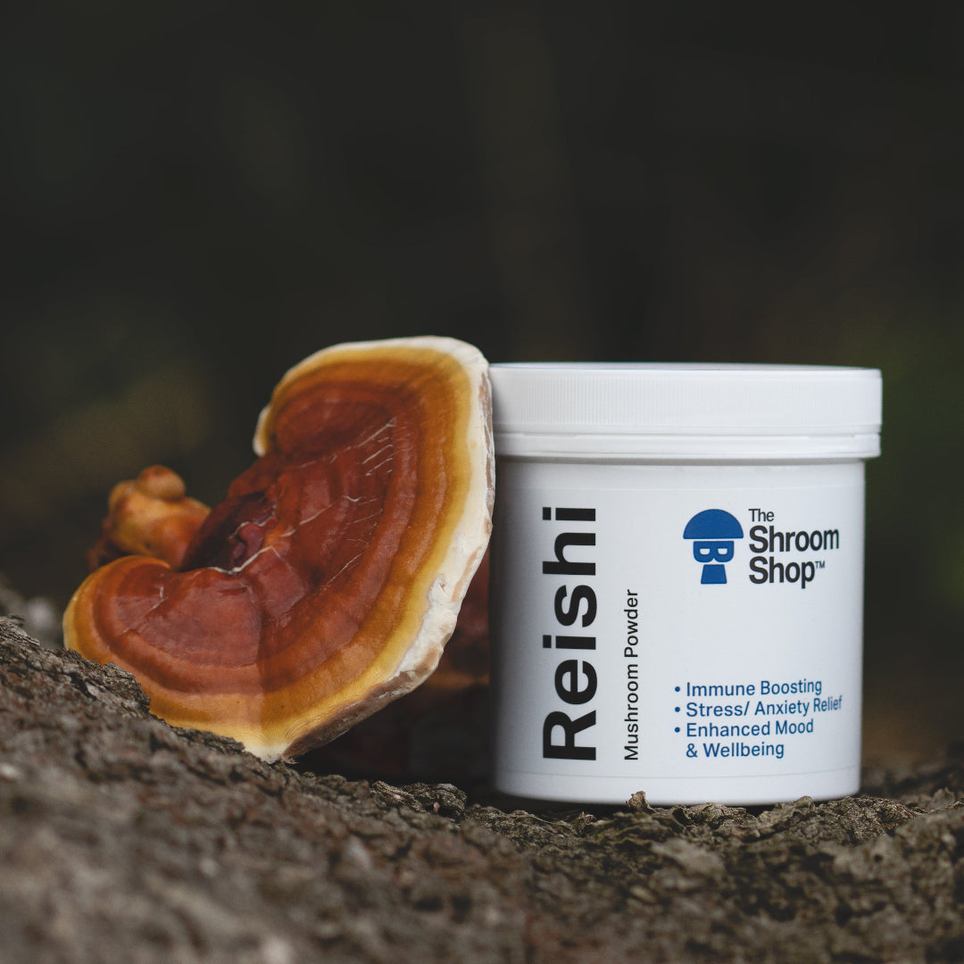 Reishi