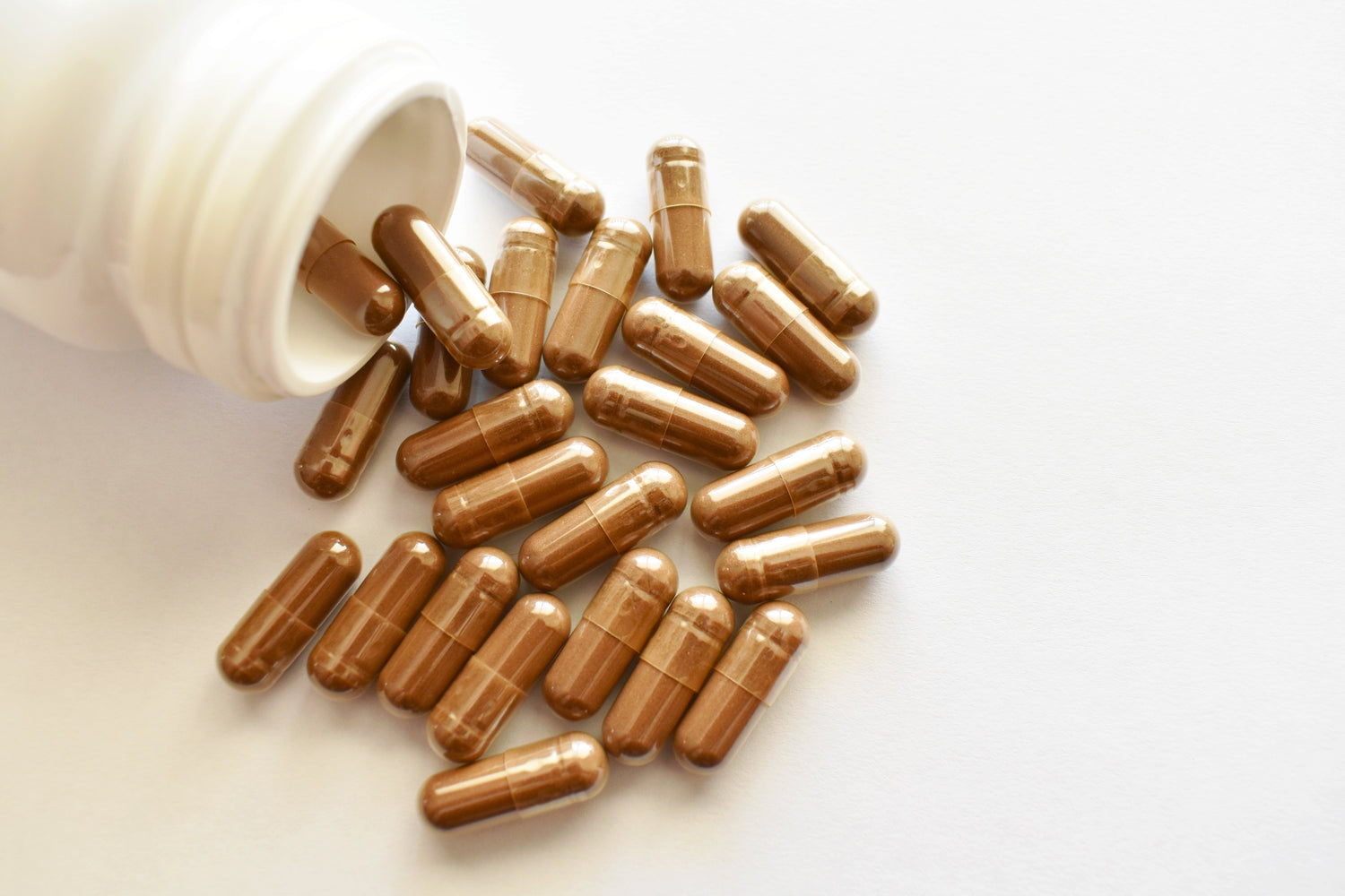 Mushroom Capsules