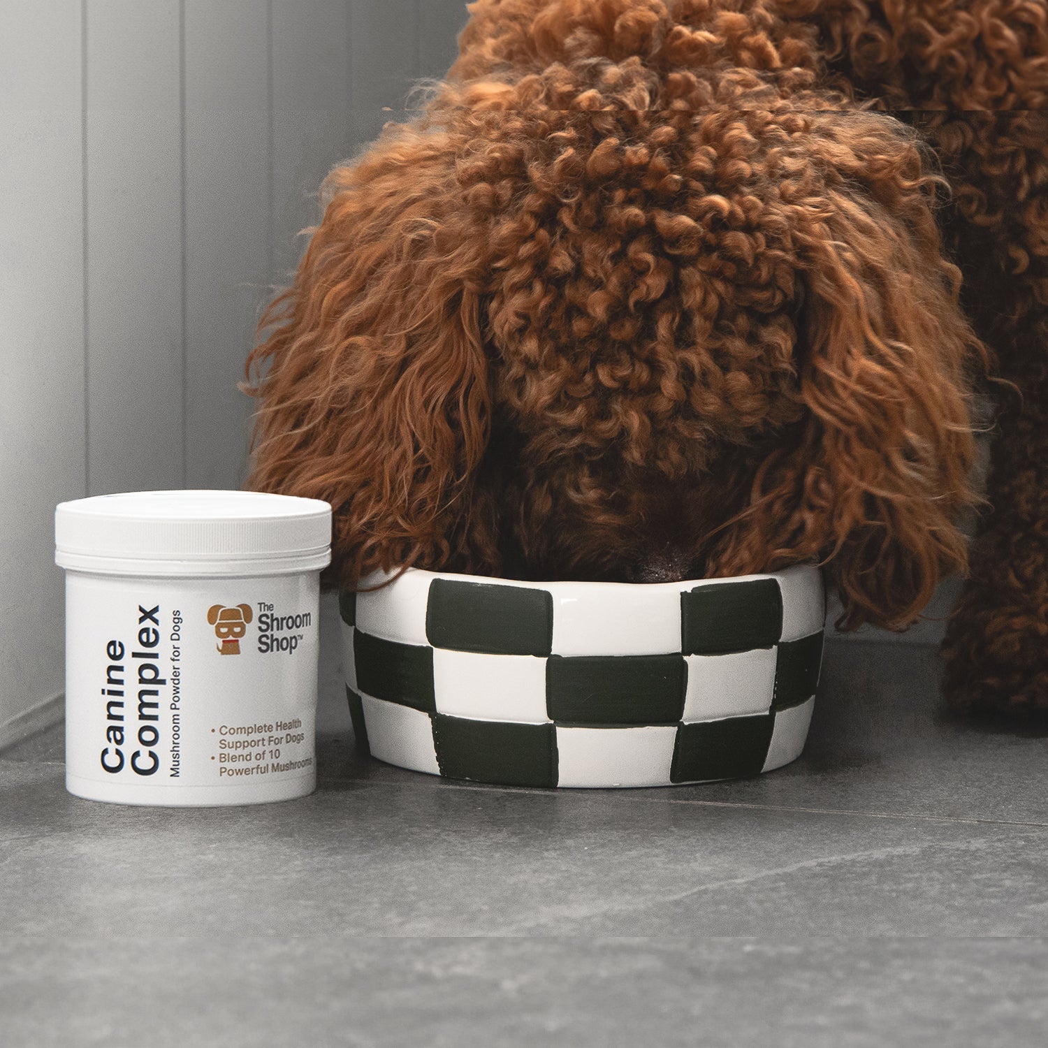 Pet Health