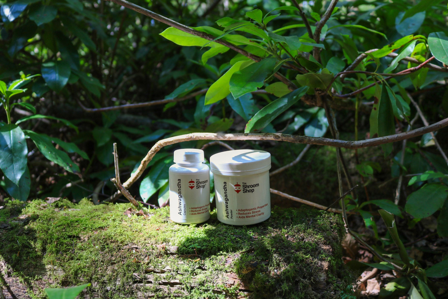 Fungi-Free Supplements