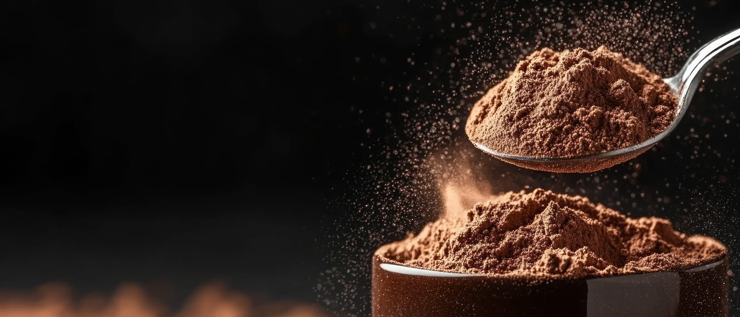 Mushroom Powders
