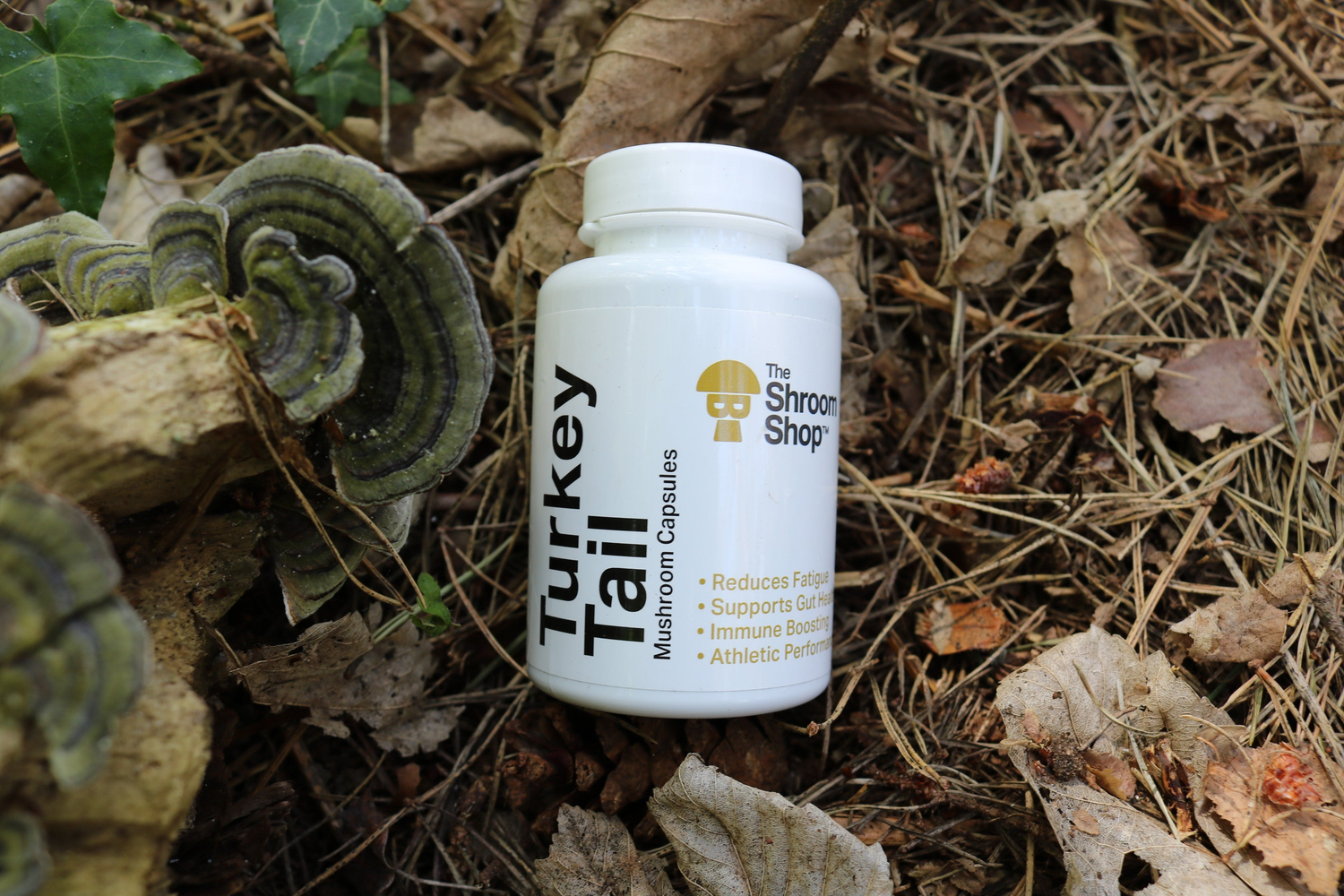 Turkey Tail Supplements