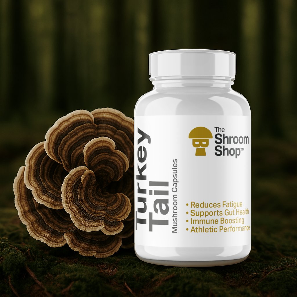 Turkey Tail