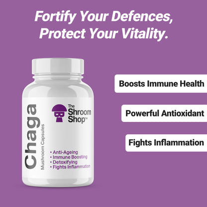 Chaga Mushroom Capsules