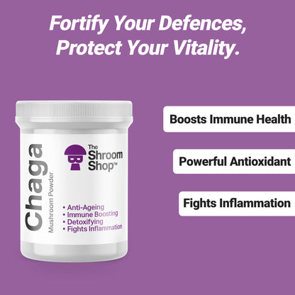 Chaga Mushroom Powder