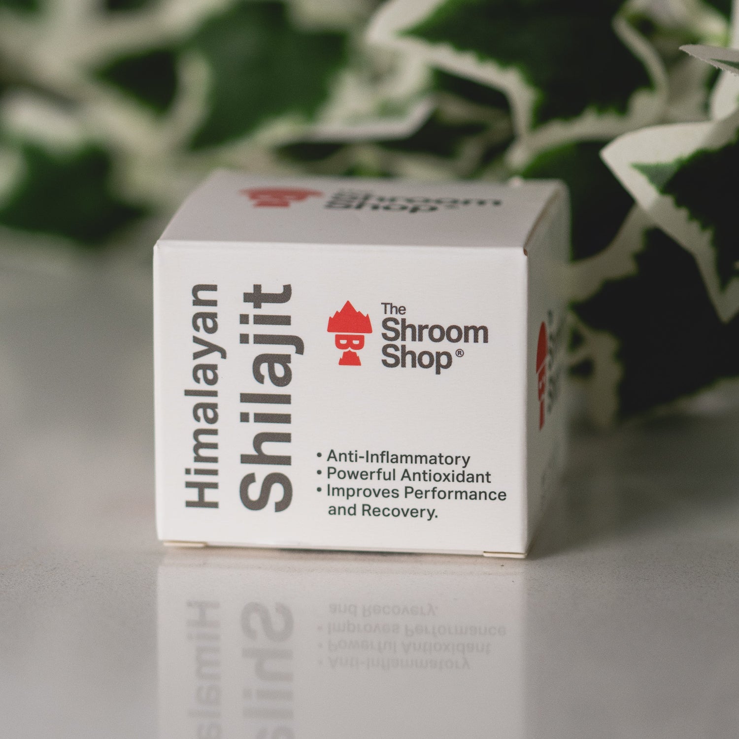 The Shroom Shop shilajit