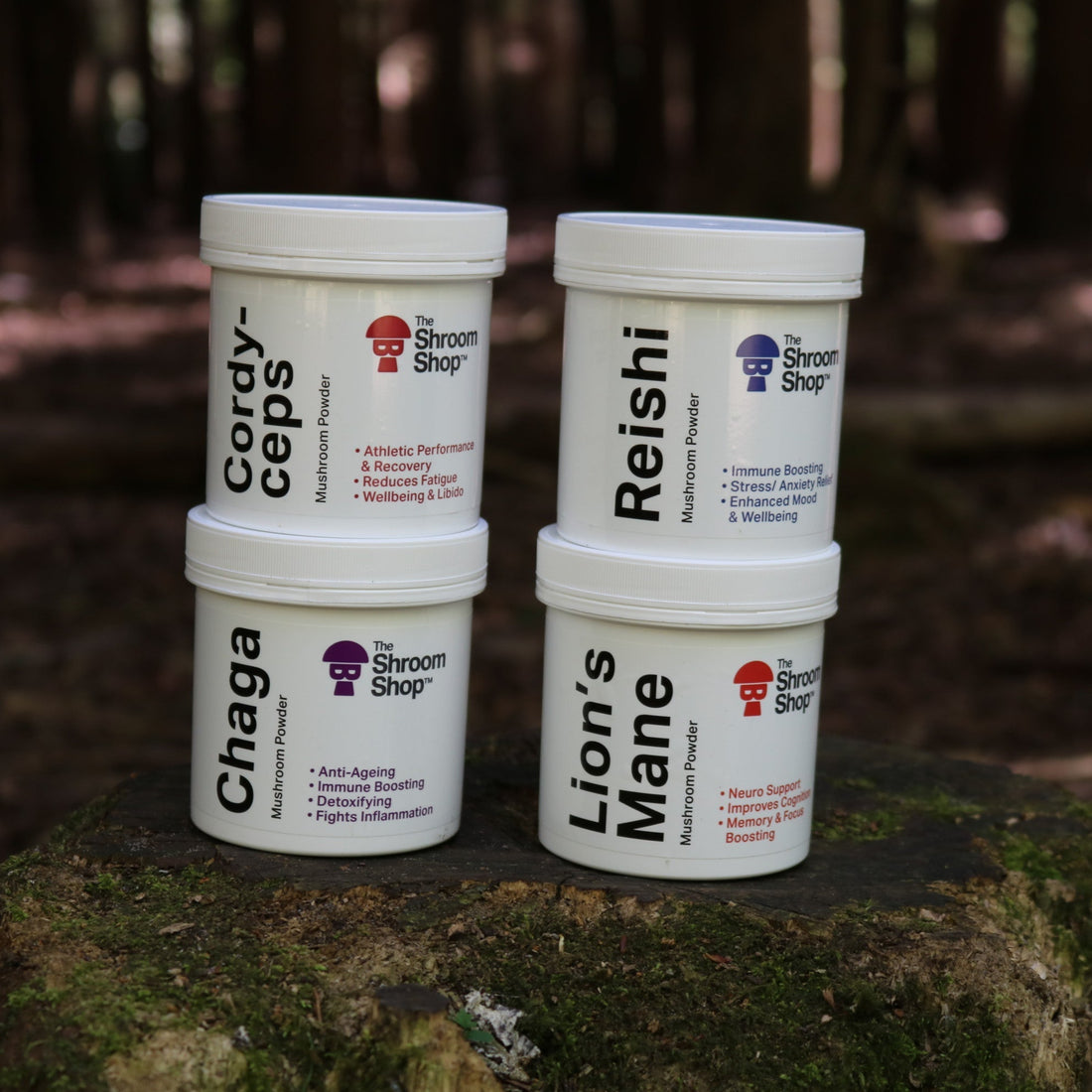 Ultimate Wellness Bundle - Powder