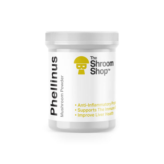 Phellinus Mushroom Powder